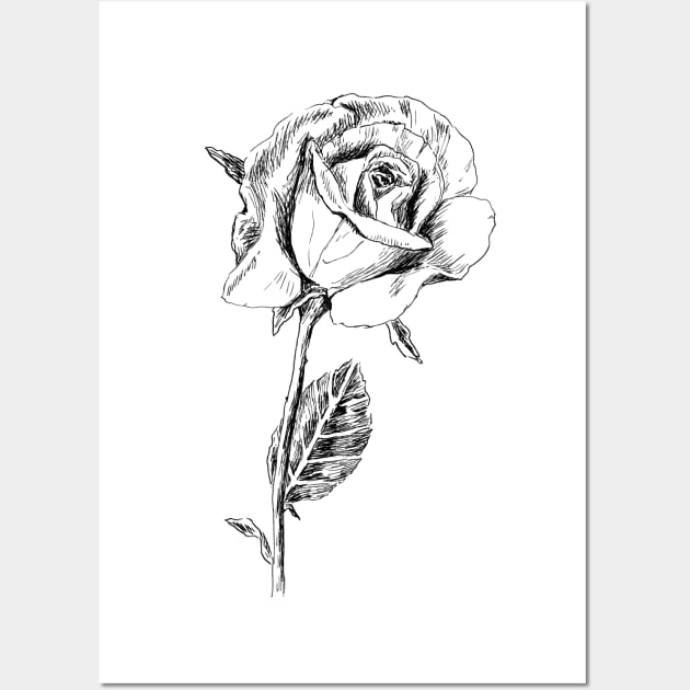 Rose Print Wall Art by rachelsfinelines